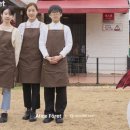 앨리스포레 이미지