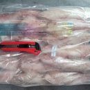 인도네시아 냉동 화살오징어(한치) 판매 이미지