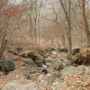 성산농원 이미지