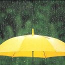 갈천오토캠핑장 이미지