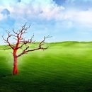 한잔먹세 이미지