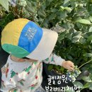 이가 | 제주 아이랑 가볼 만한 곳, 애월 귤빛정원 블루베리 체험 후기