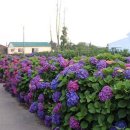 대정환승정류장 이미지