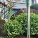 창원 외동지석묘 이미지