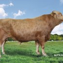 충청남도축산기술연구소 이미지