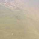 지에스25 의정부청룡점 이미지