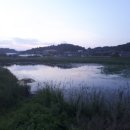 양림제 Daum카페