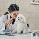 ABC동물병원 이미지