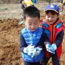 사랑농장 2 이미지