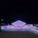 주식회사 윤슬 | 빛을 따라 걷는 밤, 해운대 빛 축제