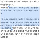 꼬리에 꼬리를 무는 기아 이야기 이미지