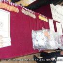 계룡태권도 이미지