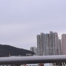 부산똥튀