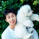 🌟스타랭킹 AAA KING 2차 투표 해주세요 😘 이미지