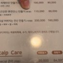 힐링숲에스테틱 이미지