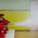 노루유치원 이미지