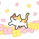 리몽카페