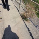 우보치안센터 화장실 | [공지] 인왕산 등산 초보자코스(2시간) 유행따라가기 간단 가는법.화장실.도시락.후기까지!!!