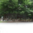 모티 경로당 Daum카페