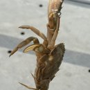 그린좌대낚시터 이미지