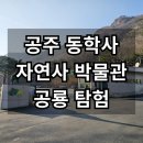 공주시반포면보건지소 | 대전근교실내 아이와가볼만한곳Ⅰ공주한국자연사박물관 공룡체험 후기