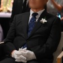 세닥스 | 혼주 넥타이 추천 브랜드 구매 기준 (닥스, 듀퐁, 레노마 비교)