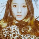 디자인그룹미 이미지