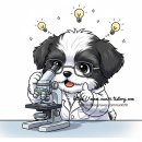 상하벌로 이미지