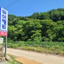 야전농수산 | 본격적인 여름 캠핑 시작 | 새로운 티피 텐트로 솔로 캠핑하기 | 소고기, 해산물 BBQ 배부르게 먹기...