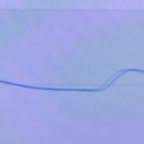 쾌통한의원 이미지