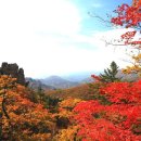 설악산 단풍 놀이와 삼척 여행 이미지