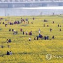 낙동강변9 이미지