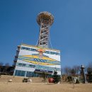 진호국제양궁장 문화체육센터 이미지