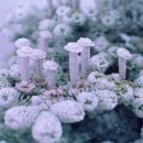 썸네일 - 서구 복수서로 50 | 썸네일
