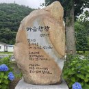 김민정 시인의 시조 '마음 한 장'을 읽다 이미지