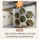 제니스파티 | 아이와 함께, 청라 무인키즈카페 제니스 키즈카페,청라 파티룸, 청라 키즈카페 무인대관 후기