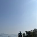 여수 오션뷰 골프장 세이지우드cc 여수경도 노캐디후기 (금오도 , 돌산도 라운딩 후기 )