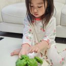 수피아동물병원 이미지