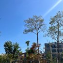 먹적골어린이공원 이미지