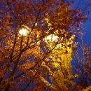 솜리문화예술회관 이미지