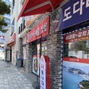 광장서대회 | 여수 서대회무침 맛집 이순신광장 점심 추천 광장서대회