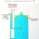 아로마 - 에센셜 오일 테라피??? 이미지