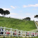 단골목장 이미지