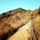 정령치로(60호선) 이미지