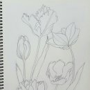 꽃그림 색연필화 이미지