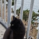 7번만남의 광장 이미지