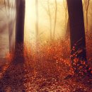 압구정한의원 이미지