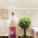 오직 스칼프 이미지