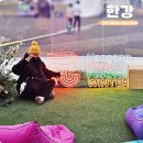 논개골 낭만 벚꽃축제 | 한강 겨울 축제 서울 주말 나들이 반포 한강공원 세빛섬 둔치