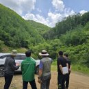 산불